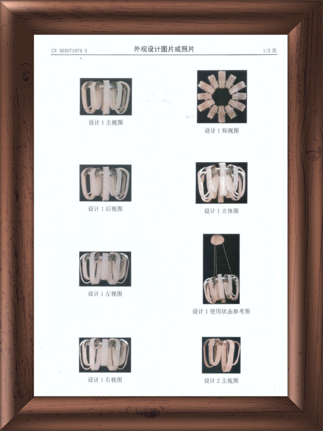 外观专利-3008759灯饰配件